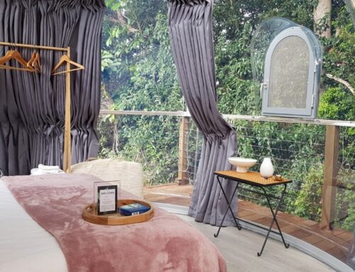 Luxury Glamping Domes – A Lucrative Opportunity in Luxury Short-Stay Accommodation