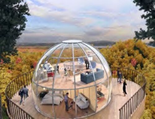 Translucent Luxury Glamping Cabins