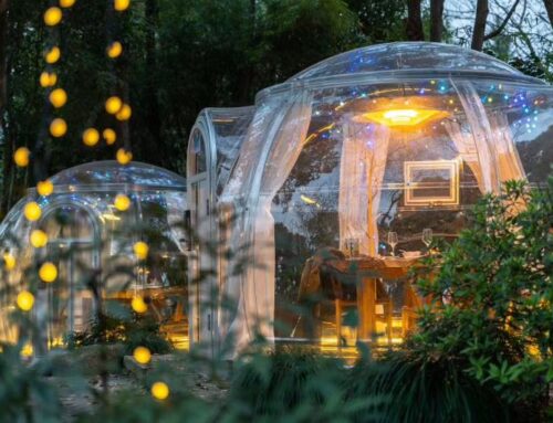 Unveiling the Lucrative World of Glamping: A Profitable Venture Worth Exploring